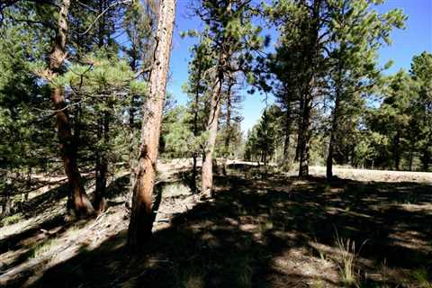 experience nature's true beauty in teller county, co | Great Land Investments