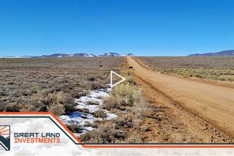 Land for sale in colorado, 10 acres of beautiful land just outside San Luis CO