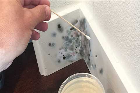 Can you test for mold if you can't see it?