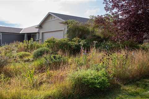 Check Out This Re-Wilded Suburban Home in Lincoln, Nebraska