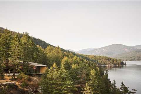 An Artist’s British Columbia Cabin Offers Peace and Perspective