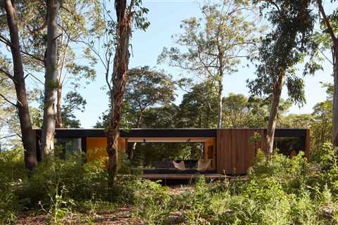 A Prefab Cabin Camouflaged in a South American Forest Glows From Within