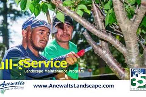 Anewalt''s Full Service Maintenance Program