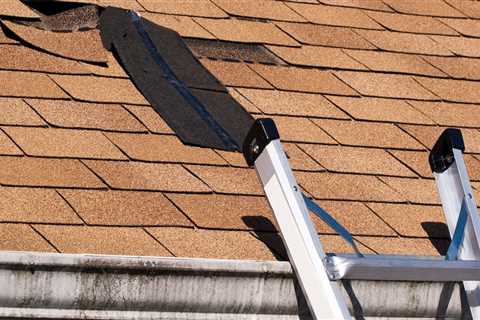 Roof Replacement Maitland: How To Know If You Need It And What To Expect