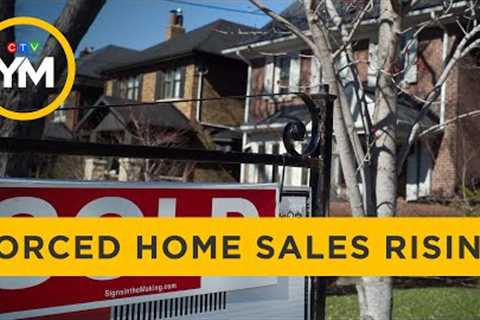 Forced sales increasing in Ontario’s housing market | Your Morning