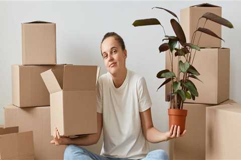Everything You Need to Know About Moving Boxes