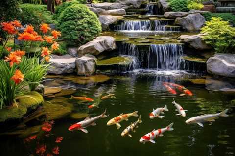 Koi Ponds: Transform Your Outdoor Space into a Serene Haven