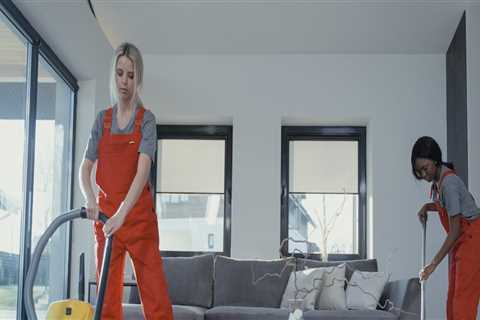 Perks Of Hiring Home Cleaning Services In Ketchum, Idaho, After A Home Inspection