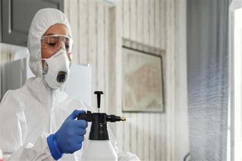 Mold Removal In Toms River: Preparing Your Home For A Successful Inspection