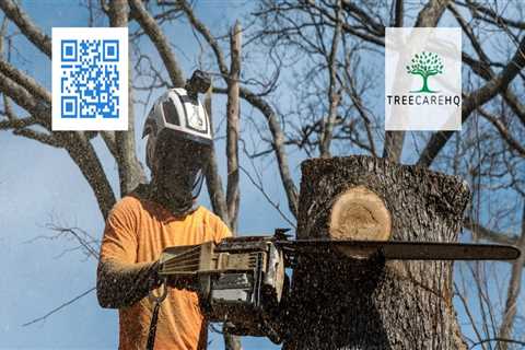 The Secret To A Higher Home Appraisal: Tree Pruning Services In Martinsburg, WV