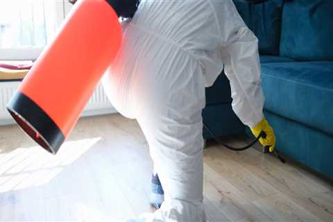 Transform Your Home With Pest Control Service In Airdrie: Tips For A Successful Home Remodel