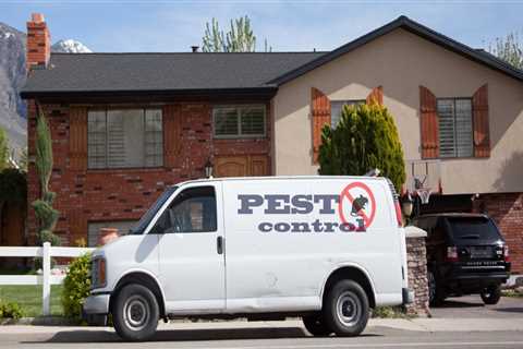 Buzz-Worthy Tips For Wasp Control In Calgary: Essential For Real Estate Marketing Success