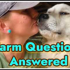 👩🏻‍🌾 Homestead Questions You''re Asking! 🧡
