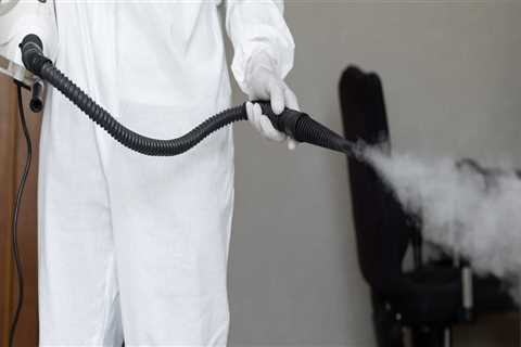 Why Engaging A Mold Removal Company Is Essential During Home Inspections In Portland