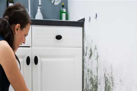 How A Mold Damage Removal Company Can Enhance Your Home Buying Experience In Portland