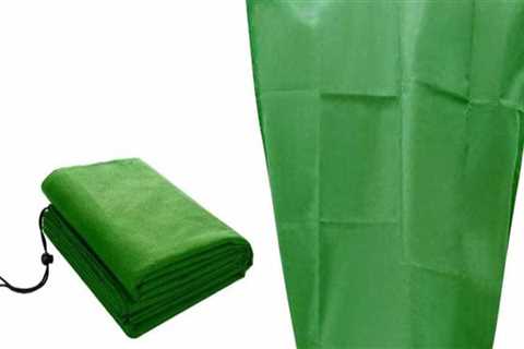 Protecting Against Seasonal Pests and Damage