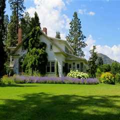 From Foundation To Foliage: How Landscaping Companies Complete Your Damascus Home Remodel