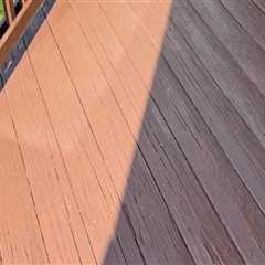 Beaver Falls Home Building Tips: Include Pest Control From The Ground Up