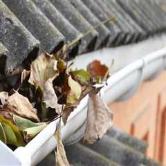 Window Washing After House Painting: The Final Polish Your Maple Grove Home Needs