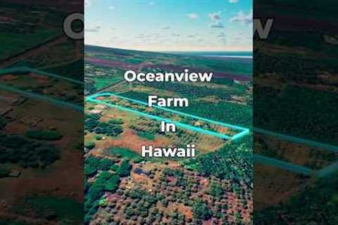 Ocean View Farm Land for Sale in HAWAII • LANDIO