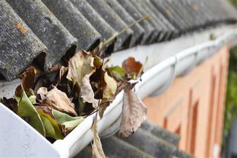 Window Washing After House Painting: The Final Polish Your Maple Grove Home Needs