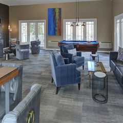 The Rise of Pet-Friendly Housing in Derry, New Hampshire