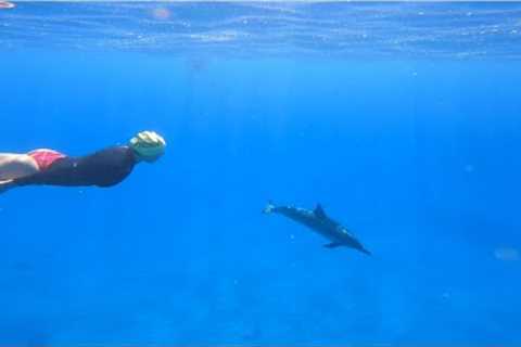 Swimming in Hawaii ~ Best Places to Swim on the Big Island