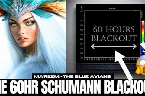 It''s Starting... | MA''REEM | 7D Blue Avian Collective