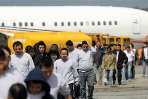 Trump''s War on Illegal Migration: Over 5,000 Arrests & Mass Deportations Begin