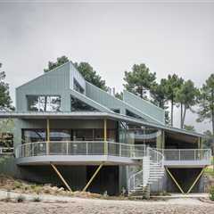A Graywater Pond Doubles as a Frog Habitat at This Forest Retreat Outside Madrid