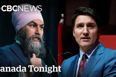 Jagmeet Singh in a ‘difficult situation’ for non-confidence vote: former NDP MP | Canada Tonight