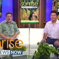 Real estate expert gives insight on how Hawaii''s housing market is changing in the new year