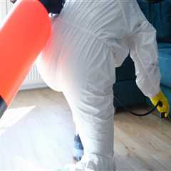 Ensuring Safe Senior Living: Mold Remediation in Lewisville