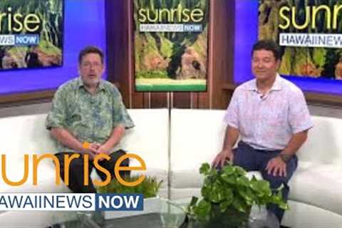 Real estate expert gives insight on how Hawaii''s housing market is changing in the new year