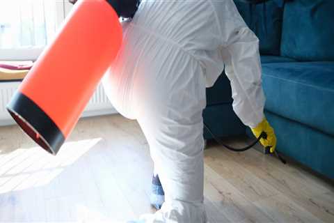 Ensuring Safe Senior Living: Mold Remediation in Lewisville