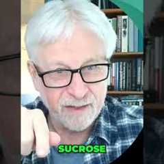 High-Fructose Corn Syrup & Liver Health #shorts