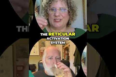 Small Steps, Big Wins: Unlock Your Power Now! #shorts