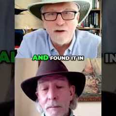 Pollution's Invisible Cycle: Snow, Blood & Global Contamination EXPOSED! #shorts