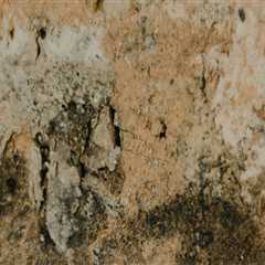 Discover Villa Rentals & Secure Your Investment with Water Damage Experts