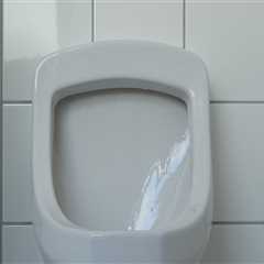 Toilet Plumbing Repair in Knoxville, TN: Smart Property Solutions for Modern Homes