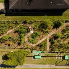 A Microforest Grows in New Orleans