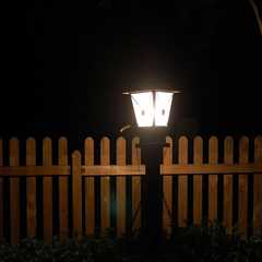 Enhance Your Miami Property with Expert Landscape Lighting