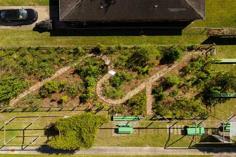 A Microforest Grows in New Orleans