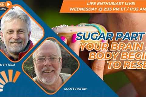 Sugar Part 2: Your Brain & Body Begin to Reset