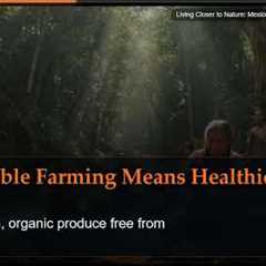Living Closer to Nature: Mexico's Blueprint for Natural Health