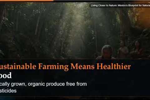 Living Closer to Nature: Mexico's Blueprint for Natural Health
