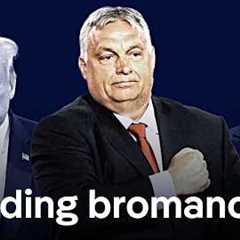 Is Donald Trump leaving his favorite European leader in the lurch? | DW News