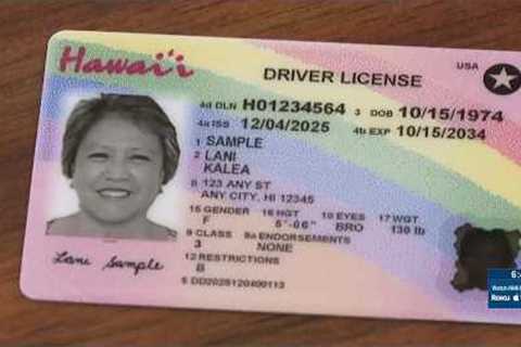‘Get used to it’: Honolulu mayor responds to backlash over new Hawaii license, ID design