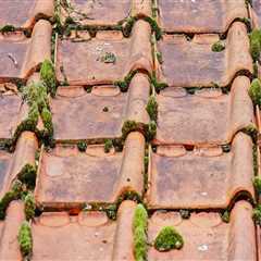 Ensure Building Integrity with Roof Replacement in Northern VA