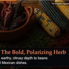The Forgotten Ingredients That Built Mexican Cuisine